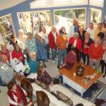 cambriaDR_0032 (November 01, 2019)